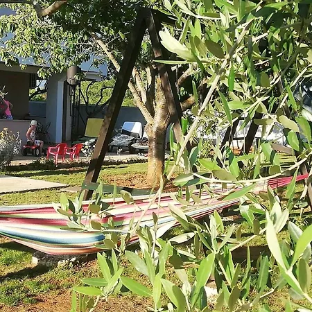 In Zaton Zadar With Terrace, Air Conditioning, Wifi, Washing Machine 4830-4 Apartment Zaton (Zadar)
