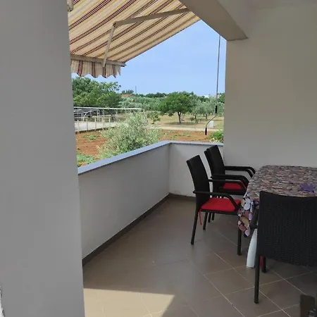 In Zaton Zadar With Terrace, Air Conditioning, Wifi, Washing Machine 4830-4 *