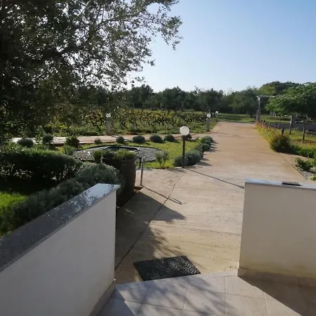 In Zaton Zadar With Terrace, Air Conditioning, Wifi, Washing Machine 4830-4 Apartment Zaton (Zadar)