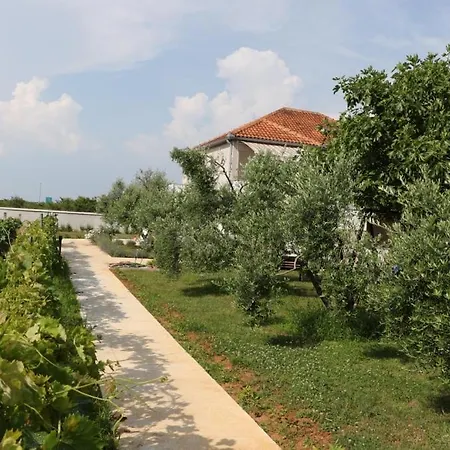 In Zaton Zadar With Terrace, Air Conditioning, Wifi, Washing Machine 4830-4 * Zaton (Zadar)