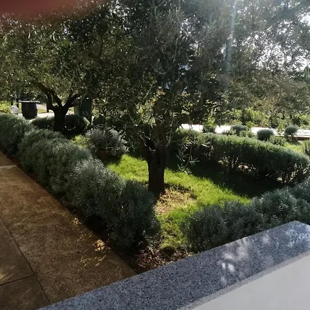 In Zaton Zadar With Terrace, Air Conditioning, Wifi, Washing Machine 4830-4 Apartment