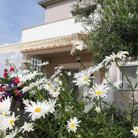 In Zaton Zadar With Terrace, Air Conditioning, Wifi, Washing Machine 4830-4 Apartment Zaton (Zadar)