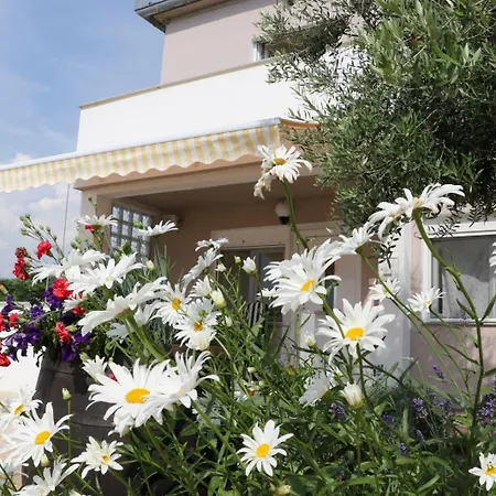 Apartment In Zaton Zadar With Terrace, Air Conditioning, Wifi, Washing Machine 4830-4 Zaton (Zadar)