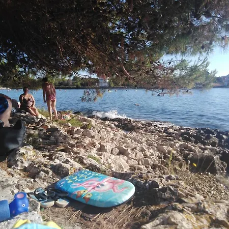 In Zaton Zadar With Terrace, Air Conditioning, Wifi, Washing Machine 4830-4 *