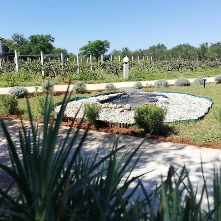 In Zaton Zadar With Terrace, Air Conditioning, Wifi, Washing Machine 4830-4 Apartment *