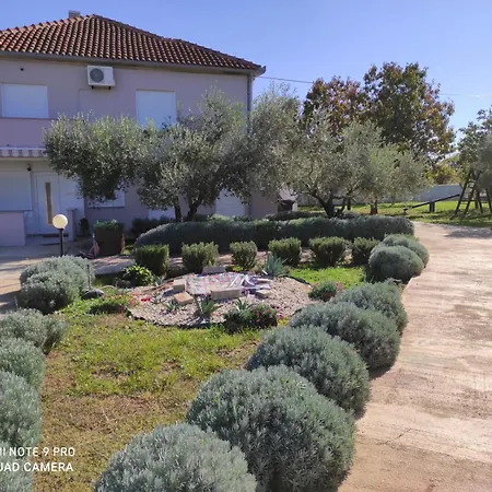 In Zaton Zadar With Terrace, Air Conditioning, Wifi, Washing Machine 4830-4 Apartment